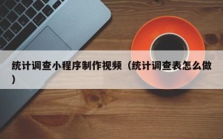 大丰统计调查小程序制作视频（统计调查表怎么做）