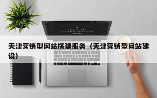 大丰天津营销型网站搭建服务（天津营销型网站建设）