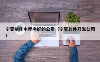 大丰宁夏制作小程序好的公司（宁夏软件开发公司）
