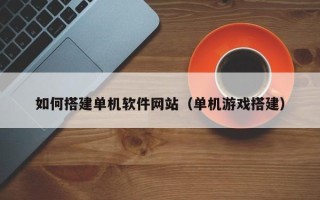 大丰如何搭建单机软件网站（单机游戏搭建）