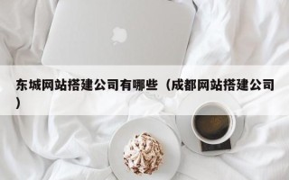 大丰东城网站搭建公司有哪些（成都网站搭建公司）